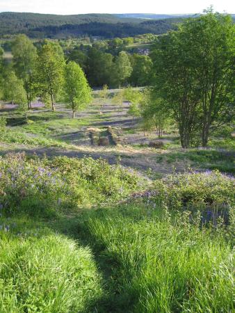 Am "Queen Elisabeth Forest Park Visitor Center“