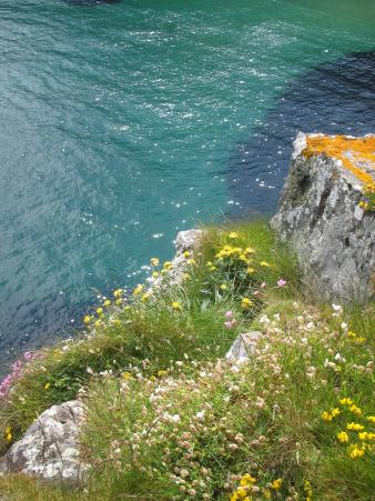 Halbinsel Carrick-a-Rede: Steilk&uuml;ste