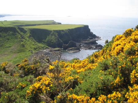 Wanderweg zum Giant's Causeway