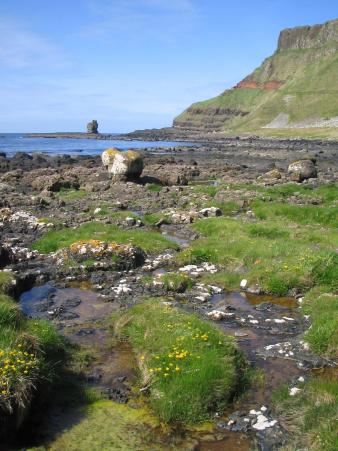 Strandlandschaft N&auml;he Giant's Causeway