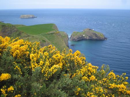 Portaneevy Car Park - Blick zur Carrick-a-Rede H&auml;ngebr&uuml;cke